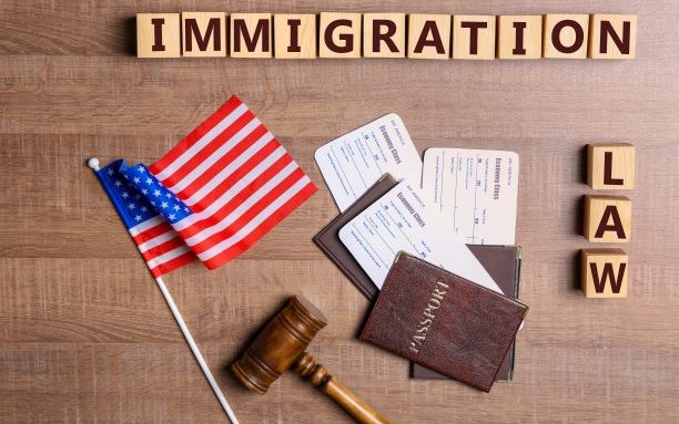 Immigration Law